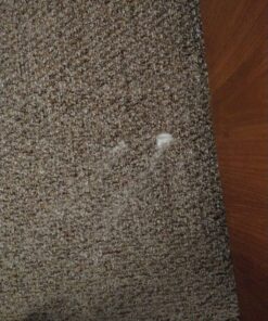 WHOLE EARTH 100% Erythritol Zero Calorie Plant-Based Sugar Alternative, 4 Pound Pouch (Packaging May Vary ) Granulated 4 Pound (Pack of 1) 33 717IgIeeTwL