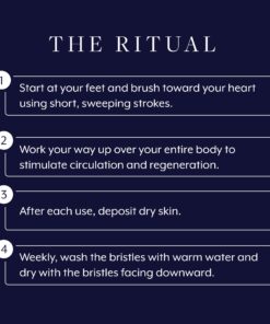 Aromatherapy Associates Revive Body Brush. Natural Dry Brush to Exfoliate Skin and Boost Circulation. Made of Natural and Sustainable Materials (1 count) 10 717LB7ZMWNL