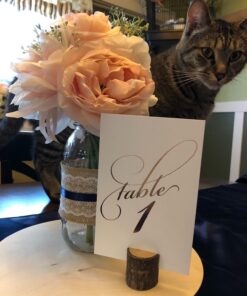 OULII Wedding Place Wooden Card Holders Table Number Stands for Home Party Decorations Pack of 10 29 717LlkpcL