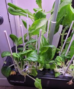 Indoor Garden Hydroponics Growing System, DUESI Upgrade 12 Pods Plant Germination Herb Kit with LED Grow Light, Hydrophonic Planter Grower Harvest Vegetable Lettuce for Hydroponic Gardeners (12 Pods) 43 717MtMbbSFL