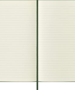 Moleskine Classic Notebook, Hard Cover, Large (5" x 8.25") Ruled/Lined, Myrtle Green, 240 Pages 12 717MyKAH8oL