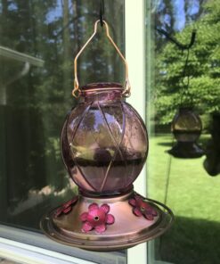 Skinny Ant Moat with Guard for Hummingbird Feeders - Gets Rid of Ants Fast in Nectar Feeder. All Natural & No Chemicals Needed. 48 717OBmel2EL