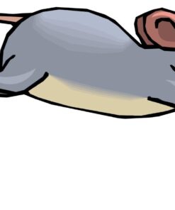 Peppermint Essential Oil, 4 Fl Oz - Pure and Undiluted Mentha Piperita Oil, Therapeutic Grade Aromatherapy Oil for Diffuser, Relaxation and Focus - by Pure Body Naturals 25 717Q nc0ZbL