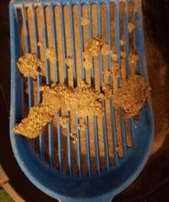 Litter Lifter Cat Litter Scoop (Colors May Vary) Standard 20 717QaPlIGSL