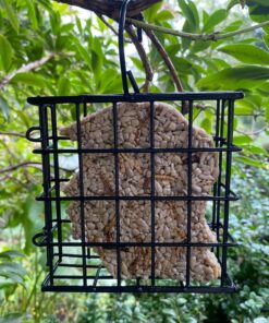 More Birds Suet Cage Bird Feeder, Fruit and Suet Feeder, Single Cake Capacity ,Black Black 29 717QeCLIHrL