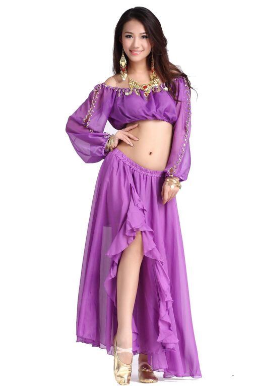 ZLTdream Lady's Belly Dance Long Sleeves Chiffon Top One Size Purple