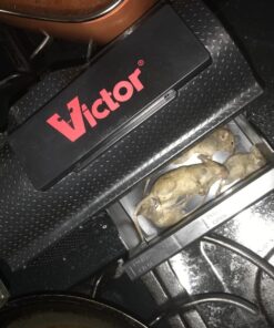 Victor M260 Indoor Multi-Kill Humane Electronic Mouse Trap - No Touch, No See Electronic Instant Kill Mouse Trap – Kills & Holds Up to 10 Mice Per Setting 1 Trap 26 717V0lEN2OL