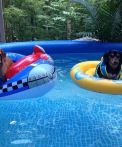 Intex My Baby Float 27 717VkoVkXeL