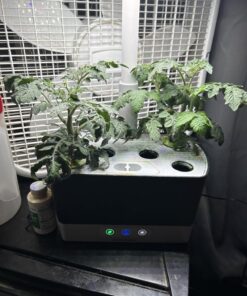 AeroGarden Red Heirloom Cherry Tomato Seed Pod Kit for AeroGarden Hydroponic Indoor Garden, 6-Pod 33 717WfJpEwhL