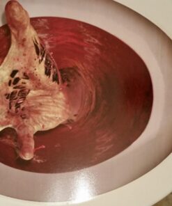 Zombie-Hand Peel 'N Place Toilet Topper 1 Piece 14 717ZMC6yrHL