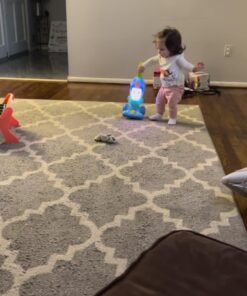 Fisher-Price Laugh & Learn Toddler Toy Light-Up Learning Vacuum Musical Push Along For Pretend Play Ages 1+ Years 24 717ZRzRyzL