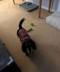 Kuoser Cozy Waterproof Windproof Reversible British Style Plaid Dog Vest Winter Coat Warm Dog Apparel for Cold Weather Dog Jacket for Small Medium Large Dogs with Furry Collar (XS - 3XL),Red M Medium (Pack of 1) Red 42 717ZTOdvnNL