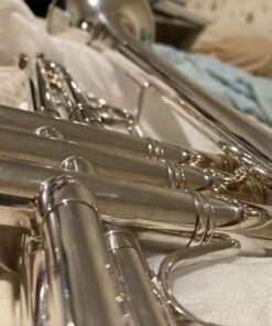 MusicNomad Silver Polish for Silver & Silver-Plated Instruments, 4 oz (MN701) 39 717ZhBLNNyL