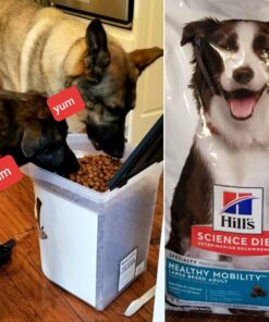 Hill's Science Diet Dry Dog Food, Adult, Large Breed, Healthy Mobility for Joint Health, Chicken Meal, Brown Rice & Barley Recipe, 30 lb. Bag 23 717d0QewMeL