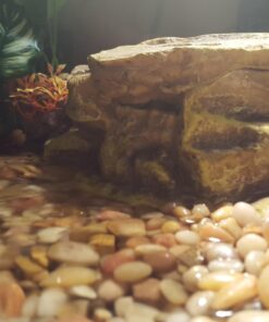 Tetra Decorative ReptoFilter, Terrarium Filtration, Keeps Water Clear 58 717d4QmeDrL