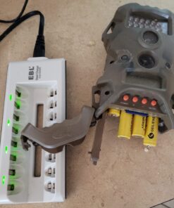 GEILIENERGY Solar Light AA NiCd AA 600mAh 1.2V Rechargeable Batteries for Solar Lamp Garden Lights(8 PCS) 8PCS NiCd 600mAh Yellow Color 15 717dsbTGnnL