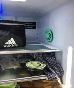 remodeez Refrigerator Deodorizer Eliminator, Nontoxic Coconut, Activated Charcoal, Natural Air Fresheners, Moisture & Odor Absorber for Fridge (Green) 25 717e jNL7lL