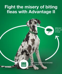 Advantage II XL Dog Vet-Recommended Flea Treatment & Prevention | Dogs Over 55 lbs. | 6-Month Supply 6-Pack 21 717iNLMepL