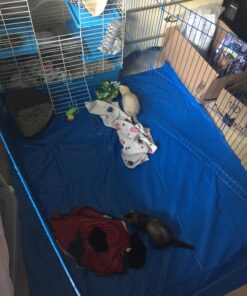 Kaytee Pet-N-Playpen with Mat for Pet Rabbits, Guinea Pigs, Ferrets or Other Small Animals 35 717jcLrc bL