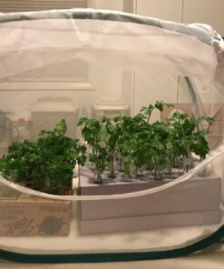 Trasfit Pop-up Insect and Butterfly Habitat Cage Terrarium - 24 Inches Tall 57 717k8jSgZbL