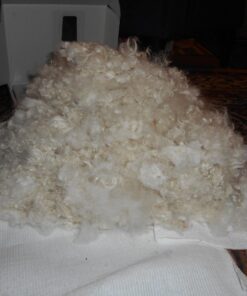 Maxshop Dog Grooming Kit, Low Noise Rechargeable Dogs Shaver Clippers Electric Quiet Dog Hair Trimmer for Dogs and Cats with Comb Guides Scissors Nail Kits (Gold Black) Gold Black 70 717kU3pebGL