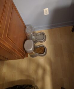 Petmate Pet Cafe Feeder Dog and Cat Feeder Pearlescent Colors 3 Sizes, Made in USA 6 lb. Pearl Tan 33 717oJaH9gPL