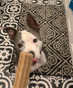 Purina DentaLife Made in USA Facilities Large Dog Dental Chews, Daily - (4) 18 ct. Pouches 18 Count (Pack of 1) 36 717oMcLmCxL