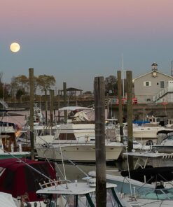 OM SYSTEM OLYMPUS M.Zuiko Digital 40-150mm F4.0-5.6 R Black For Micro Four Thirds System Camera, 3.75x Zoom Lens, Portable Design Standard Packaging 62 717r9sJ3fxL