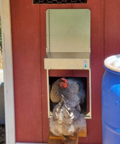 ADOR1 Automatic Chicken Coop Door, Complete with Battery 39 717ryLYfXaL