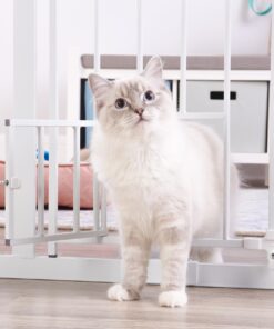 Carlson Extra Wide Walk Through Pet Gate with Small Pet Door, Includes 4-Inch Extension Kit, Pressure Mount Kit and Wall Mount Kit,White 33 717uvgg188L