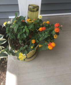 REMIAWY Plant Watering Stakes 6 Pack Automatic Plant Waterers for Vacations, Plant Watering Devices Terracotta Self Watering Spikes for Wine Bottles Great Watering Spikes for Indoor & Outdoor Plants 39 717v1x0EdTL 1