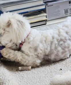 JW Pet Crackle Heads Crackle Ball, Small 32 717vfJ6tcVL