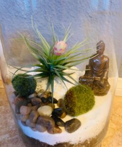 Top Collection Mini Shakyamuni Buddha Decorative Statue - Hand Painted Enlightened One Sculpture with Bronze Finish Look- 3-Inch Supreme Buddha Collectible Figurine 34 717vqGa7D7L