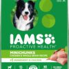 IAMS Adult Minichunks Small Kibble High Protein Dry Dog Food with Real Chicken, 15 lb. Bag 0 15 Pound (Pack of 1) 60 717w3Yd3jiL