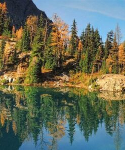 Balance & Strength Exercises for Seniors: 9 Practices, with Traditional Exercises, Tai Chi, Yoga & Dance Based Movements. DVD 26 717wKMOdTpL