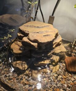 Tetra Decorative ReptoFilter, Terrarium Filtration, Keeps Water Clear 35 717x7u7ypfL