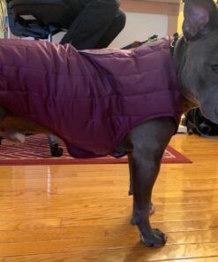 Kurgo Loft Dog Jacket, Reversible Dog Coat, Wear with Harness or Sweater, Water Resistant, Reflective, Winter Coat For Large Dogs (Coastal Blue, XL) Extra Large Coastal Blue/Orange 54 717xxEsAnL