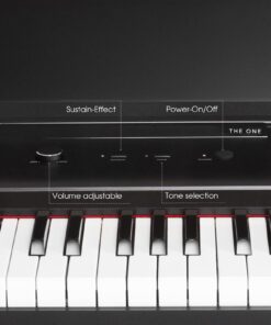 The ONE Keyboard Piano, 61 Key Piano Keyboard for Beginner/Professional, Electric Piano w/Lighted Keys, Music Stand & Piano App, Supports USB MIDI/Audio/Microphone/Headphones/Sustain Pedal Onyx Black 15 7180pe4kfeL