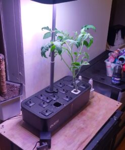 Indoor Garden Hydroponics Growing System, DUESI Upgrade 12 Pods Plant Germination Herb Kit with LED Grow Light, Hydrophonic Planter Grower Harvest Vegetable Lettuce for Hydroponic Gardeners (12 Pods) 38 7181VhtbmL