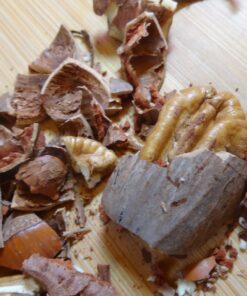 Magic Nutcracker Tool Works in Seconds. No Mess. Works on Walnuts, Almonds, Pecans, Hazelnuts. Great to Use As a Lemon Lime Squeezer. 39 7182uaEKuL