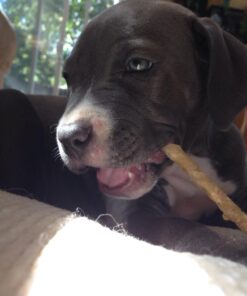 Pet Center Chick n Hide Dog Treats, 10-Pack 15 7187ufBeSGL