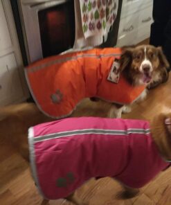 Zack & Zoey Nor'Easter Blanket Coat, Large, Blue 1 Dark Blue 42 718847eKjvL 2