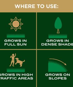 Scotts EZ Seed Patch & Repair Sun and Shade Mulch, Grass Seed, Fertilizer Combination for Bare Spots and Repair, 20 lb 20 lb. 1 Pack 40 718COtuYUxL 1