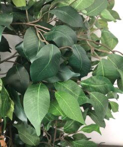 Nearly Natural 6ft. Ficus Artificial Trees, 72in, Green 72 in 41 718KReMwNQL