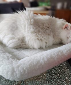 MidWest Homes for Pets Bolster Fleece Pet Bed for Dog And Cats 24L-Inch White w/ Comfortable Bolster | Ideal for Small Dog Breeds & Fits a 24-Inch Dog Crate | Machine Wash & Dry | 1-Year Warranty 37 718LXNCKL9L