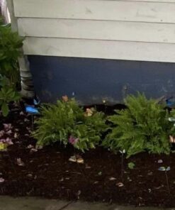 Teenitor 40 Pcs Butterfly Stakes, 5 Different Size Garden Ornaments Patio Decor Butterfly Party Supplies Outdoor Yard Stakes Decorative 1 1.7/2.7/3.5/4.8/5.9inch 41 718PTasp1nL