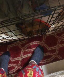 Paws & Pals Dog Crate, 24" Pet Cage, Wire Metal Kennel, with Tray, Foldable & Portable, Durable Steel Wire, Easy Setup, Ideal for Puppies & Kittens, Black 24.0"L x 16.0"W x 20.0"H 33 718QCB FxtL