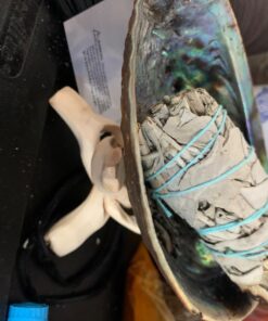 Sage Smudge Kit - White Sage, Palo Santo, Abalone Shell, Smudging Feather | Healing, Purifying, Meditating, Incense, Sage Smudging Kit 27 718SBgc9rbL