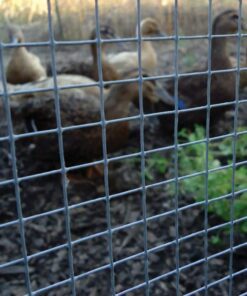 YARDGARD 308229B Hardware Cloth 48 Inch x 50 Foot, Silver 12 718c6cnZxXL