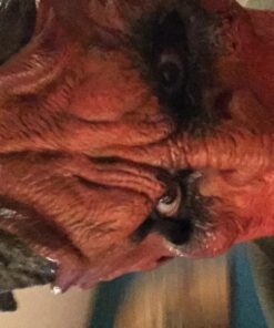 Rubie's Costume Reel F/X Gargoyle Kit One Size Grey 25 718cckGvqKL